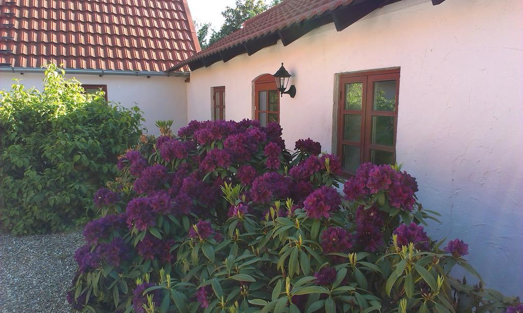 Vranum Guesthouse Viborg Exterior foto