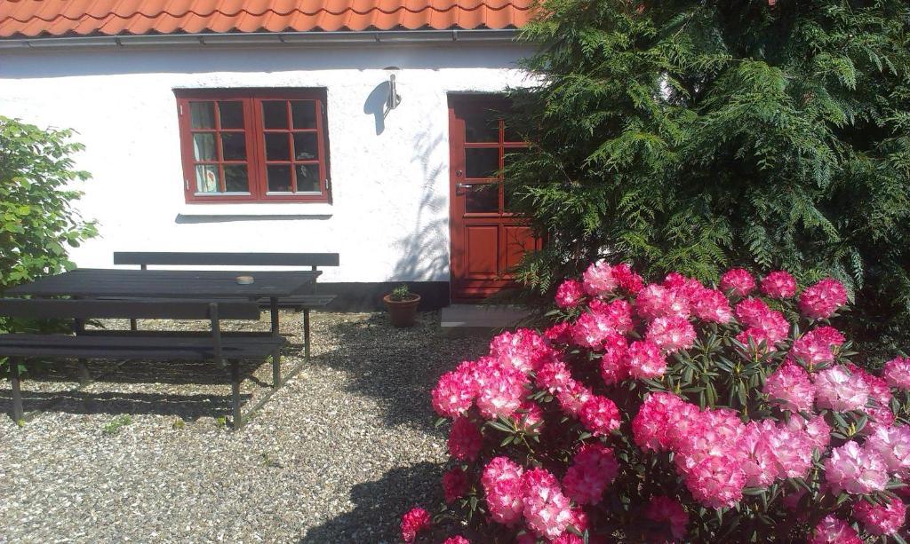 Vranum Guesthouse Viborg Exterior foto